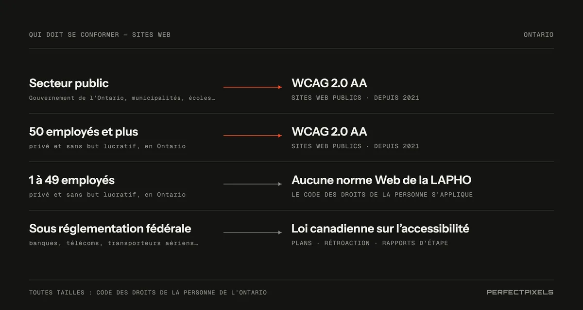 Qui doit se conformer. Organisations du secteur public de l’Ontario : WCAG 2.0 de niveau AA pour les sites Web publics et le contenu Web, en vigueur depuis janvier 2021. Organisations privées et sans but lucratif comptant 50 employés ou plus en Ontario : la même exigence WCAG 2.0 de niveau AA. Organisations comptant de 1 à 49 employés : aucune norme de la LAPHO pour les sites Web, mais le Code des droits de la personne de l’Ontario exige tout de même des services accessibles. Organisations sous réglementation fédérale, comme les banques, les entreprises de télécommunications et les transporteurs aériens : la Loi canadienne sur l’accessibilité.
